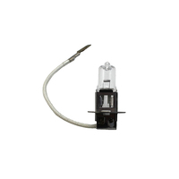H3 Bombilla halógena 6V 55W 12V 55W Lámpara antiniebla auxiliar 12V 100W H3 Bombilla Faro