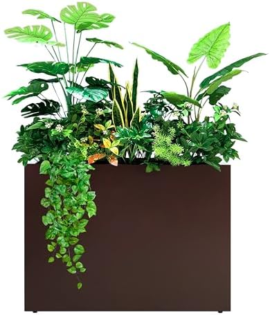 35.5*10*28 - espresso