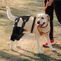 Attelle de rééducation moderne et confortable pour chien, pour genoux et pattes, en tissu de plongée, pour protéger les genoux, les pattes et les hanches, toutes saisons