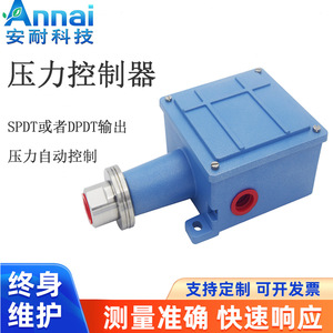 Pressostat à filetage G1/2, corps en plastique, IP65, antidéflagrant, pour fluides gazeux - Product Image 4