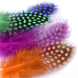Lot de plumes artisanales teintes AC9 en sachet plastique, plumes de guinée pour <span class=keywords><strong>la</strong></span> décoration scolaire - Product Image 2
