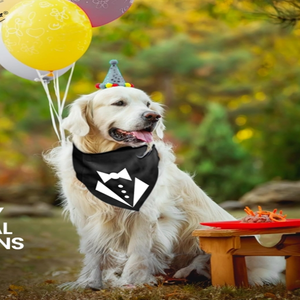 Bandana pour chien ajustable unisexe, mouchoir triangle, bavoir jaune imprimé «Born Run», accessoire de vêtements pour animaux de compagnie lavable et mignon - Product Image 6