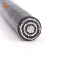 Cable Concéntrico de Aluminio Trenzado 3x6AWG con Aislamiento XLPE y Cubierta de PVC para Instalación Aérea