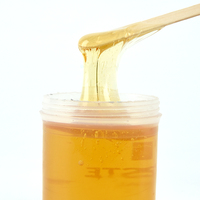 Personnalisé 300g 450g 650g 1300g pâte à sucre cire indolore épilation sucre cire peau Spa pour Salon de beauté
