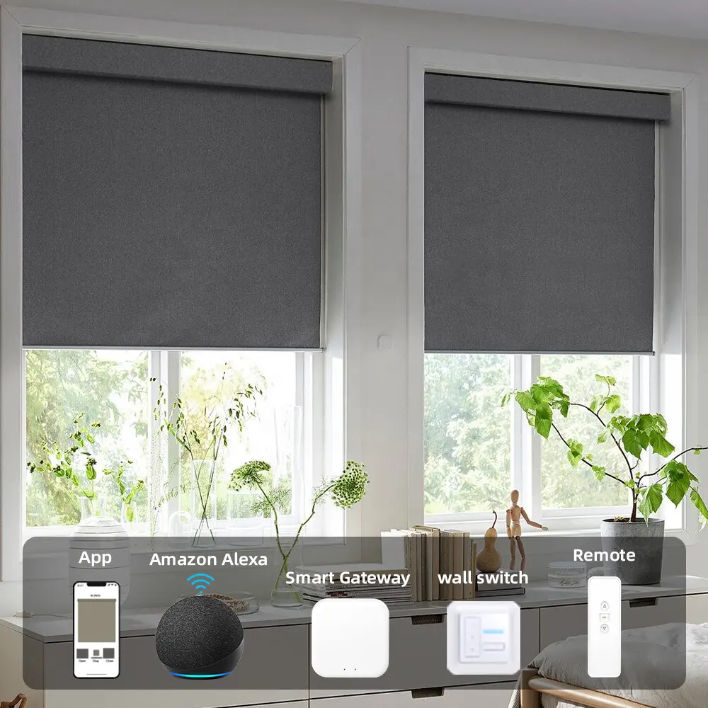 Tùy chỉnh màn Wifi điều khiển Shades kép tuya ZigBee động cơ điện cửa sổ cơ giới ngày và đêm rèm cuốn