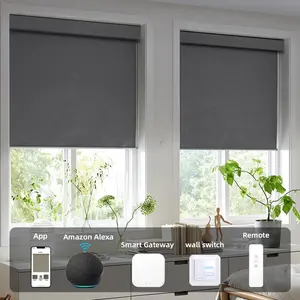 Kunden spezifische Blackout Wifi Control Shades Dual Tuya ZigBee Elektromotor Fenster Motorisierte Tag und Nacht Rollos