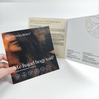 Flyers de catalogue personnalisés pliables, impression couleur, impression de mini-brochures