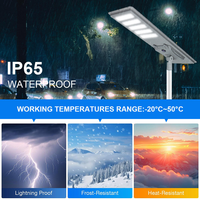 Lampadaire Solaire Photovoltaïque Intégré 2026 6V Éclairage LED Extérieur 100W 250W Haute Luminosité IP67 Étanche Aluminium