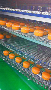 Ligne de production automatique de muffins cupcakes brownies 500 kg/h - Product Image 6