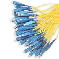 Cable de Fibra Óptica de 48 Núcleos para Interiores, con Conector LC FC SC ST