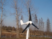 Éolienne Silent Home 400W avec fibre de nylon Éolienne éligible au crédit d'impôt pour l'énergie verte