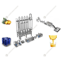 Solution clé en main 1-100 t/h pour ligne de fabrication d'ananas/usine/machine Machine de traitement industriel de jus d'ananas