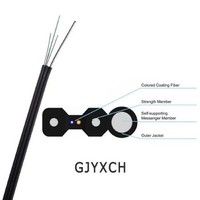 Câble de raccordement FTTH intérieur 2/4 fibres FRP monomode 305m, câble optique à gaine LSZH/PVC certifié ISO9001 GJYXCH