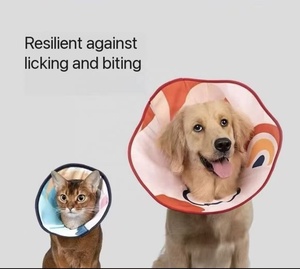 Conical <span class=keywords><strong>Elizabeth</strong></span> kerah tahan air, bahan poli nyaman tahan noda tahan lama mudah dibersihkan untuk anjing kucing - Product Image 2