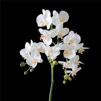Réaliste orchidée avec sol pot orchidée artificielle en pot pour la décoration de jardin
