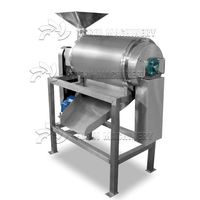 Tomaat Plakken Verwerking Machine/Mango Fruit Dunschiller Zaad Verwijderen Pulping Machine