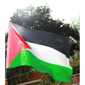 Best Selling Free Palestine Flag Custom Country Logo Flags 3x5 Ft Polyester Fabric Flags Palestine