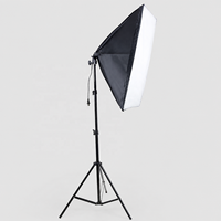 Kit d'éclairage Softbox avec support lumineux réglable, lumière de studio continue pour portrait, vidéo, streaming et photographie de produits
