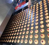 Machine automatique pour la fabrication de biscuits, 1 pièce, multifonction, prix d'usine
