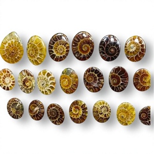 FAIJAN GEMS Cabochons d'ammonites naturelles, pierres précieuses brutes polies uniques, sans traitements, certifiées par un tiers, toutes formes - Product Image 1