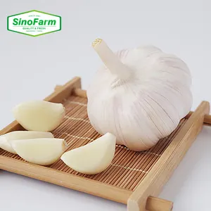 Garlic Cloves Fresh Chinese Peeled Garlic Wholesale