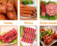 Machine de remplissage sous vide automatique pour saucisses allemandes et hot-dogs, de haute qualité, fournie par l'usine SK