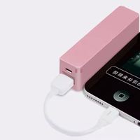 Powerbank Keyring OEM Custom 2600 mAh 18650 Pengisi Daya Portabel 2600mah Veger Power Bank