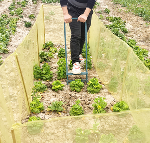 Malla Protectora <span class=keywords><strong>para</strong></span> Jardín, Anti-Insectos, <span class=keywords><strong>para</strong></span> Verduras, Frutas y Plantas, Protege de Pájaros e Insectos, Reutilizable y Transpirable - Product Image 3