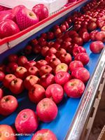 Verse Fuji Appels Premium Kwaliteit Zoet en Knapperig Rood Fruit voor Groothandel Bulk Export Vanuit Chinese Fabriek Directe Levering