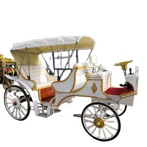 Transport spécial de calèche électrique de haute qualité à bas prix - Product Image 1