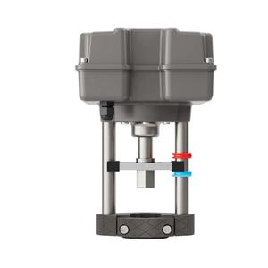 Vanne de régulation de température de vapeur à pression différentielle constante motorisée - Product Image 5