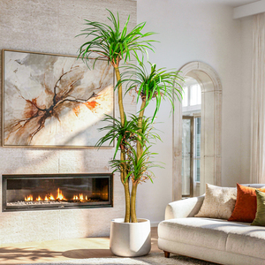Árbol de Dracaena Artificial para Espacios Decorativos Interiores, Planta <span class=keywords><strong>Verde</strong></span> Grande en Maceta para Decoración de Sala de Estar, Oficina y Hogar - Product Image 5
