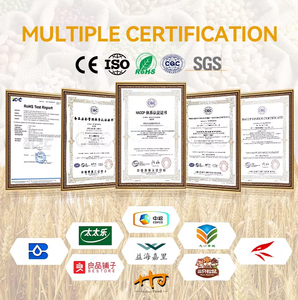 Medias nueces de nogal al por mayor de fábrica Hanjiang para hornear y cocinar, ricas en <span class=keywords><strong>omega</strong></span>-<span class=keywords><strong>3</strong></span> - Product Image 6