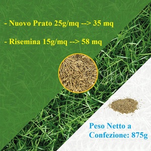 Semillas de Césped Ultra Densas 875g Cobertura de 35m Germinación Rápida 7 Días - Product Image 3