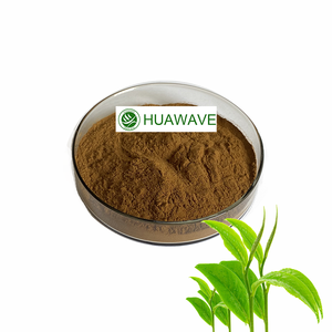 Extracto de té verde orgánico de suministro de fábrica mejor venta 98% polvo de polifenoles de té - Product Image 3