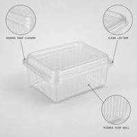 500C Transparante, ademende, wegwerpbaar, aanpasbare scharnierende clamshell PET-verpakking, 500g capaciteit voor vers fruit