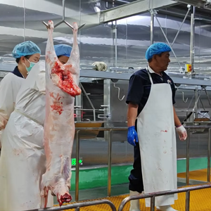 Équipements d'abattage de chèvres et de moutons de haute qualité à prix abordable, ligne d'abattage de moutons, machine d'abattage d'agneaux - Product Image 1