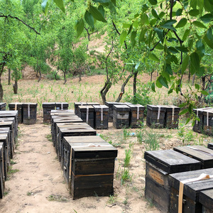 Pot de <span class=keywords><strong>miel</strong></span> sdr en verre, certifié iso, organique, 250g, pour yemanti - Product Image 3