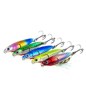 7g/10g/15g/20g/25g/30g motif d'écailles de poisson ligne de plaque de fer appât plaque de fer longue portée chute plaque de fer Sequin appâts de <span class=keywords><strong>pêche</strong></span> en mer - Product Image 1