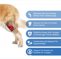 Attelle orthopédique OEM pour chien, support de genou pour animaux de compagnie, protection pour la récupération des membres, attelle de genou pour chien réduisant les douleurs articulaires
