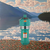 Pompe de fontaine de paysage en fonte à haute pression OEM à ascenseur élevé pris en charge musique submersible triphasée à plusieurs étages 0.55kW 1 an