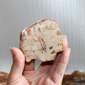 Gỗ Tự Nhiên Đá Hóa Thạch Đá Chữa Bệnh Tinh Thể Đá Chữa Bệnh Hóa Thạch Gỗ Thạch Anh Hóa Thạch - Product Image 4