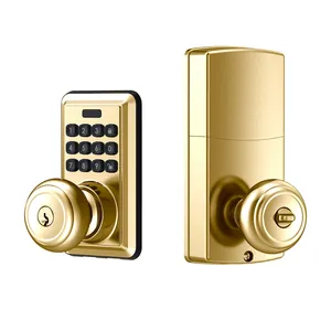 La cina fornisce la serratura intelligente senza chiave sicura serratura digitale elettrica per la serratura della porta sblocco della chiave serrature intelligenti per la maniglia della manopola