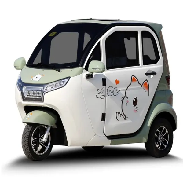 Offre Spéciale et pas cher Usine Vente en gros taxi voiture à trois roues e-tricycle tricycle électrique à carrosserie fermée EV pousse-pousse pour passager