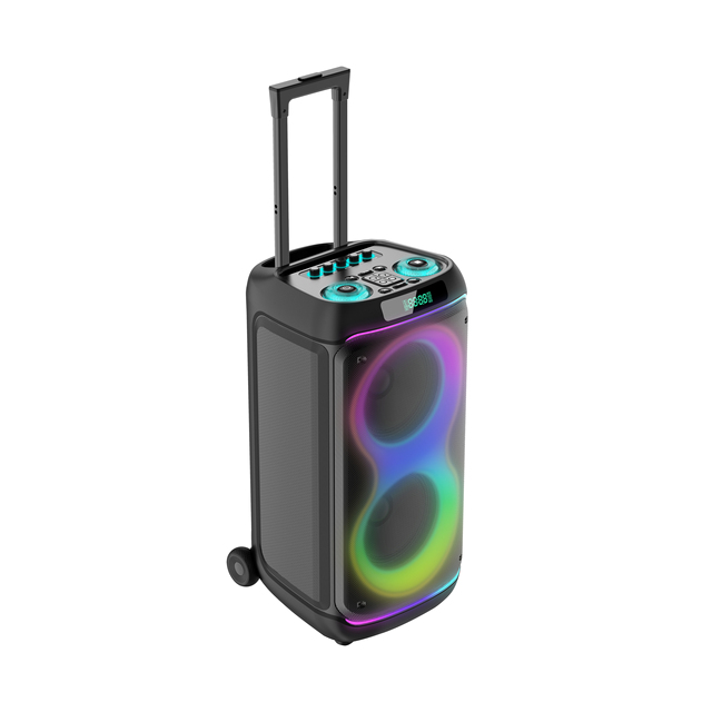 Professional Party Speaker with LED Lighting for Weddings and Dance Floors