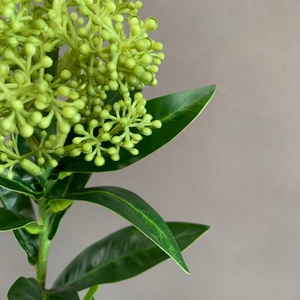 LO-1137 Branche artificielle de Skimmia Japonica, <span class=keywords><strong>tige</strong></span> <span class=keywords><strong>verte</strong></span> à double bourgeon avec baies artificielles pour vase Wabi Sabi et <span class=keywords><strong>d</strong></span>écoration minimaliste de la maison - Product Image 6