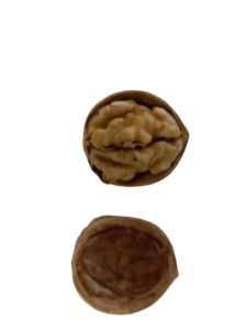 Mezze Noci Extra Leggere Selezionate a Mano di <span class=keywords><strong>Colore</strong></span> Chiaro per Guarnizioni Gelato - Product Image 1