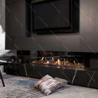 Cheminée à gaz multi-vues OEM ODM, cheminée linéaire d'intérieur, télécommande, décorations, pouces, cheminée à gaz propane naturel