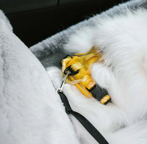 Sièges de voiture en peluche <span class=keywords><strong>pour</strong></span> chiens, portables, toutes saisons, universels, <span class=keywords><strong>pour</strong></span> chiens et chats, avec housses amovibles, lavables à la main, vente en gros - Product Image 4