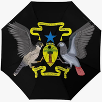 Parapluie entièrement automatique de haute qualité, imprimé du drapeau national de Sierra Leone, anti-UV à haute efficacité, style créatif